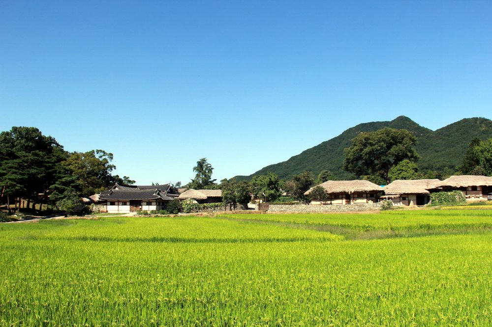 아산시 외암마을 전경