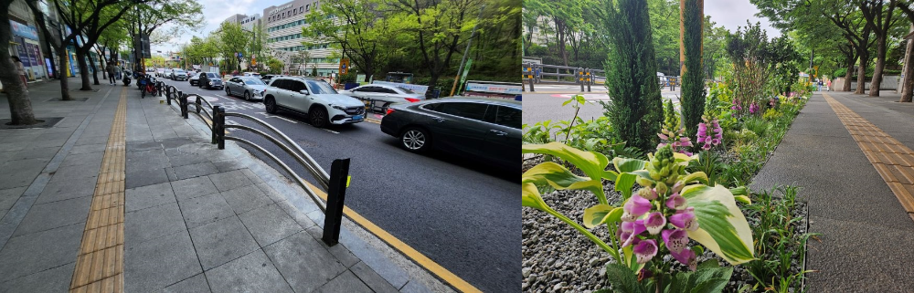 보라매공원 일대 바람길숲조성 전(좌)후(우)