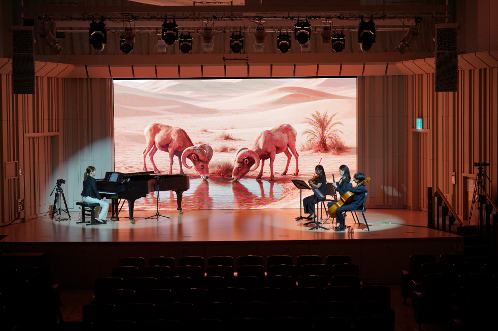 작곡가 엄시현, “멸종위기 동물의 목소리를 예술로 전하고 싶었다”