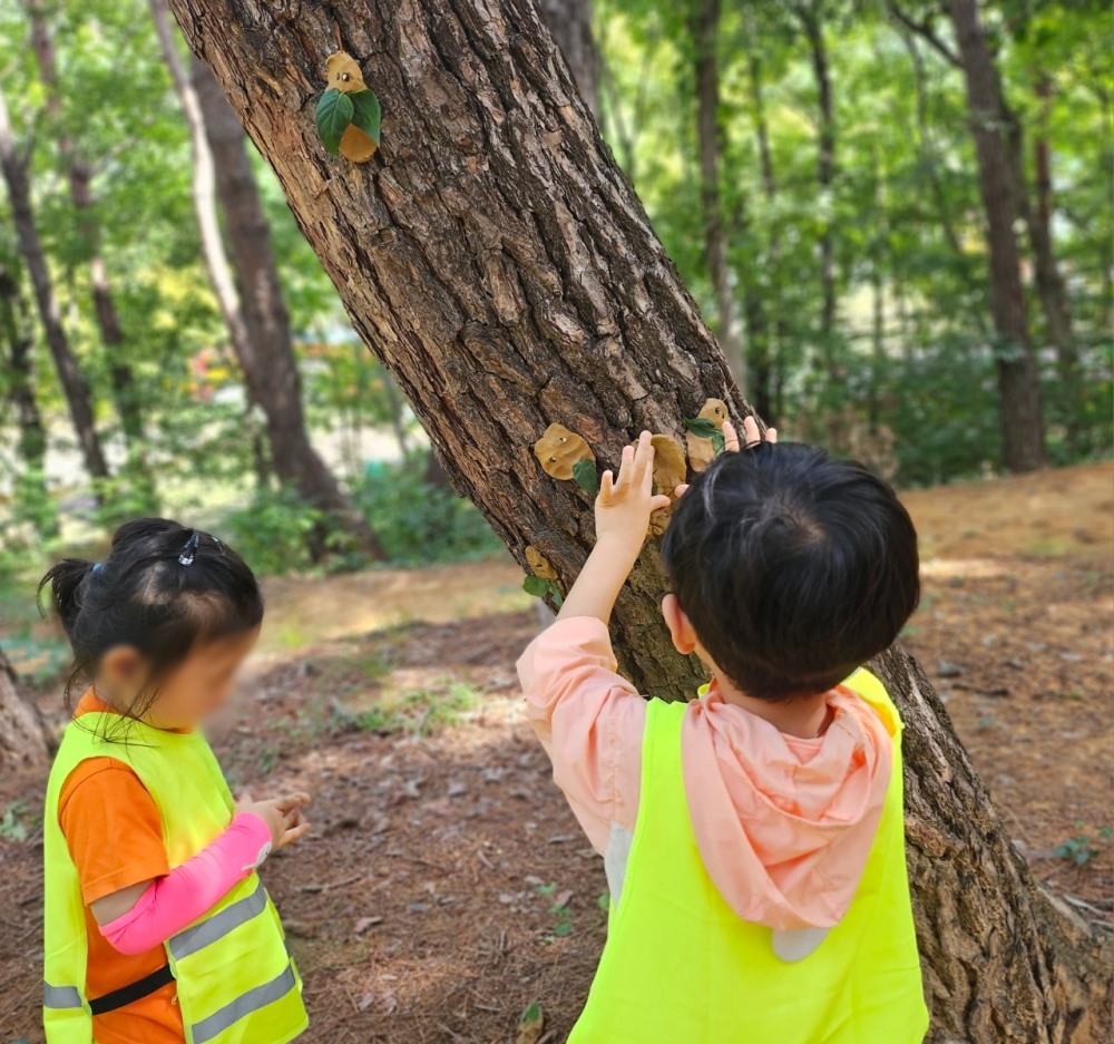 로프앤조이, 발달장애 아동·청소년 위한 숲체험 프로그램 ‘산을 넘는 거북이, 선을 넘는 달팽이’ 9월 활동 성료