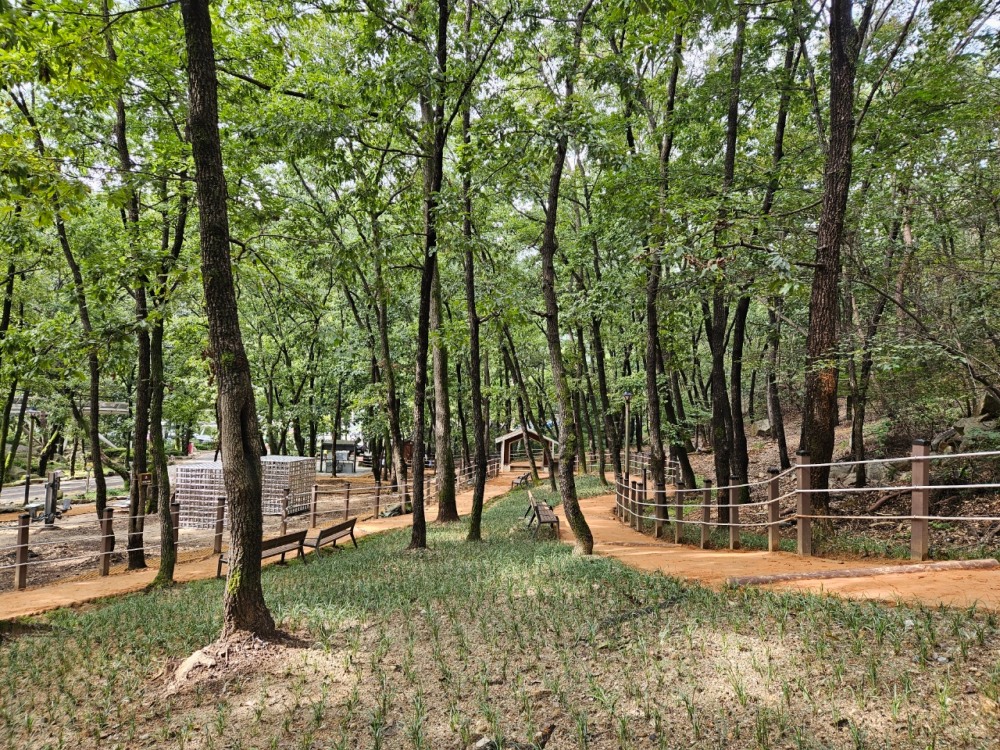 안양예술공원과 갈뫼어린이공원에 맨발산책길 조성