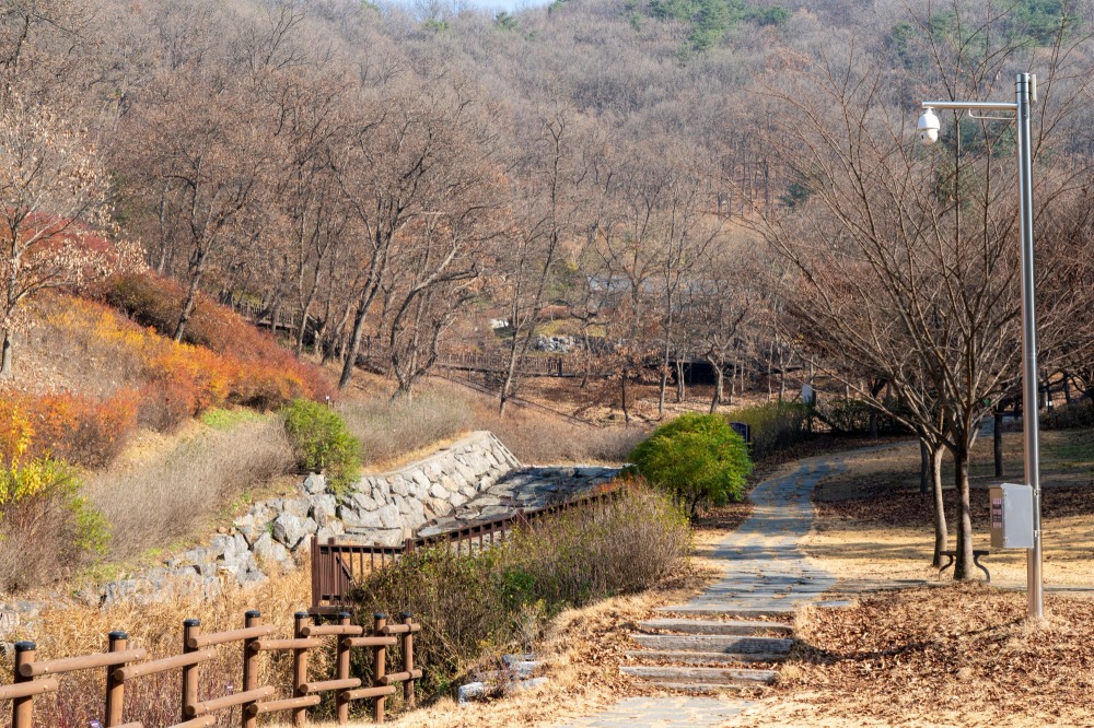 의줏길 제5길 임진나룻길