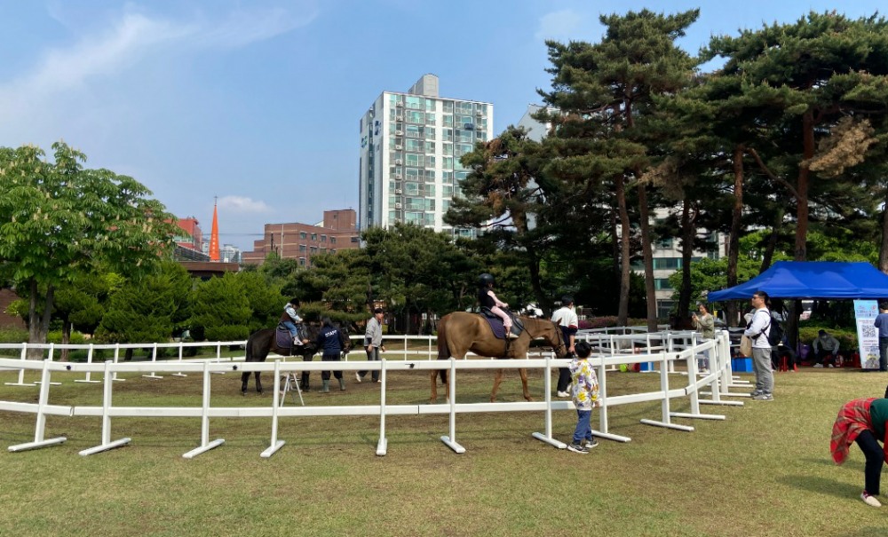 세종시, "도심에서 특별한 추억을"... '도심승마체험' 운영