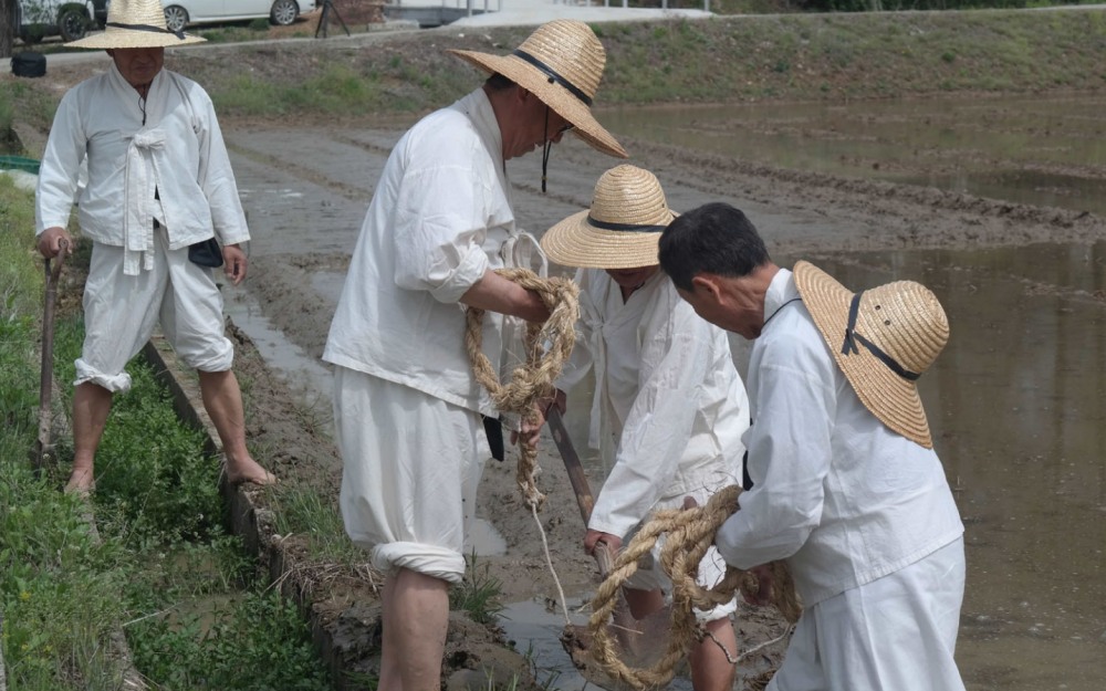 용인특례시 향토무형유산 '백암농요' 가래질 모습