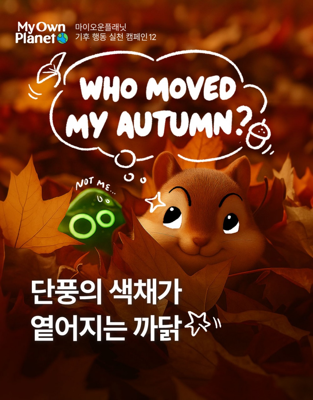 마이 오운 플래닛(My Own Planet) 기후행동 실천 캠페인 ⑫ “가을 단풍의 색채가 옅어지는 까닭"