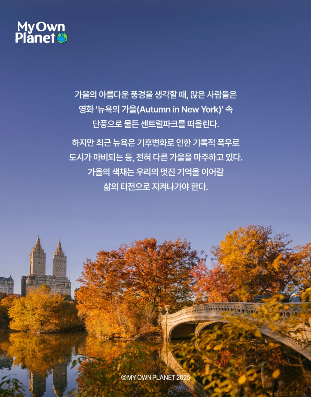 마이 오운 플래닛(My Own Planet) 기후행동 실천 캠페인 ⑫ “가을 단풍의 색채가 옅어지는 까닭"