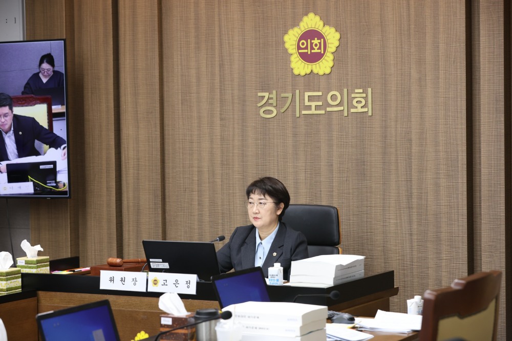 고은정 경기도의원