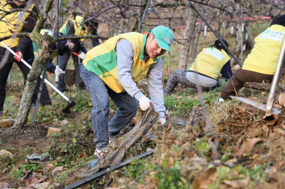 지난 1일 신천지자원봉사단 3개 지역 연합회가 과수원과 밭에서 영농폐기물을 수거하고 있다. (신천지자원봉사단 제공)