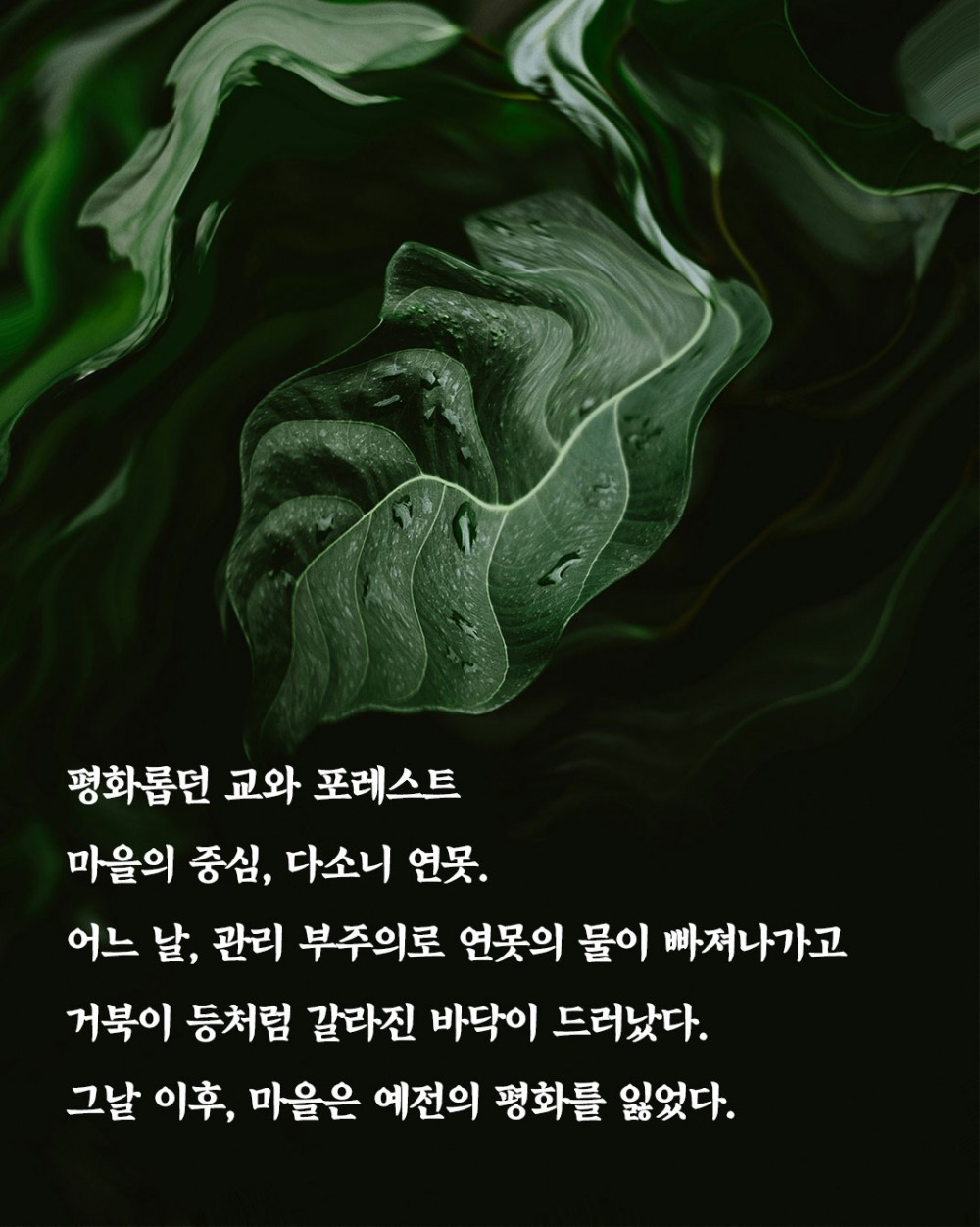 황정은 신작 미스터리 <개구리 정원의 살인> 출간