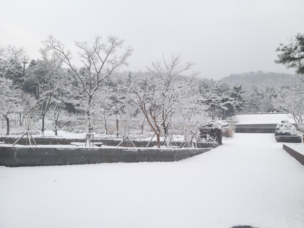 바다향기수목원 설경 (안산시 제공)