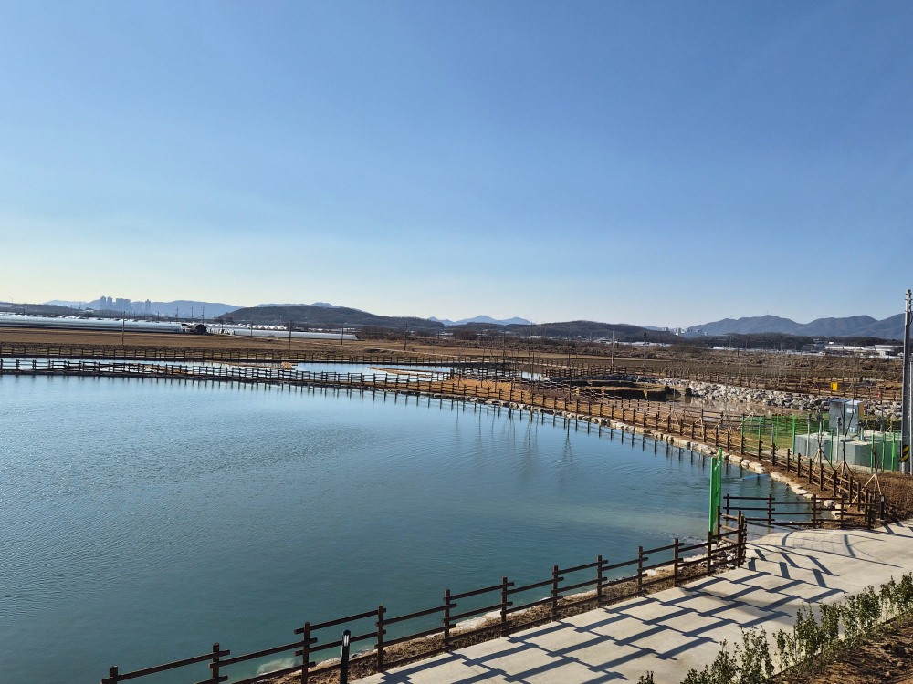 죽당천 인공습지 (이천시 제공)