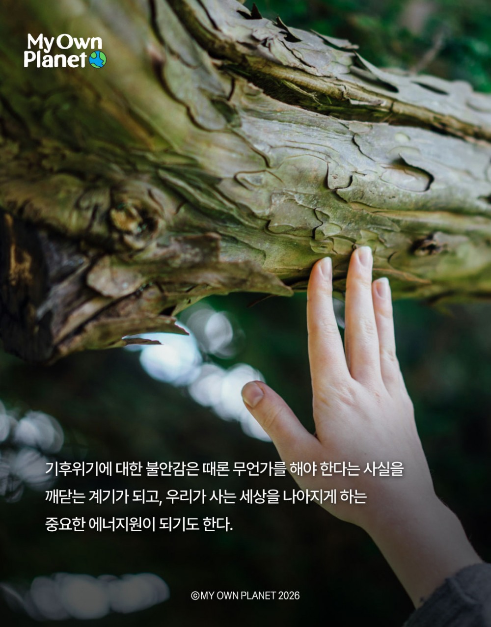 마이 오운 플래닛(My Own Planet) 기후행동 실천 캠페인 20 “기후행동이 만든 변화와 성과”