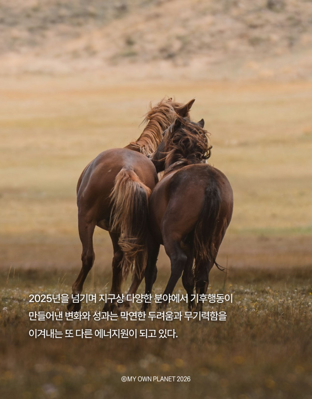 마이 오운 플래닛(My Own Planet) 기후행동 실천 캠페인 20 “기후행동이 만든 변화와 성과”