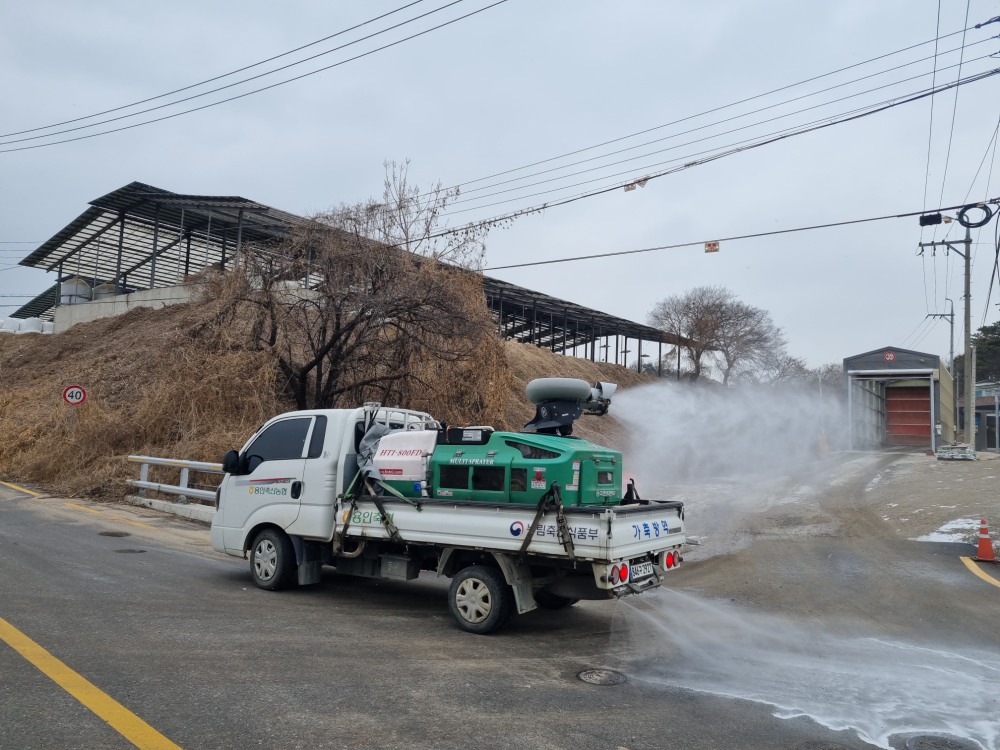 가축방역 공동방제단이 조류인플루엔자 차단을 위해 방역소독