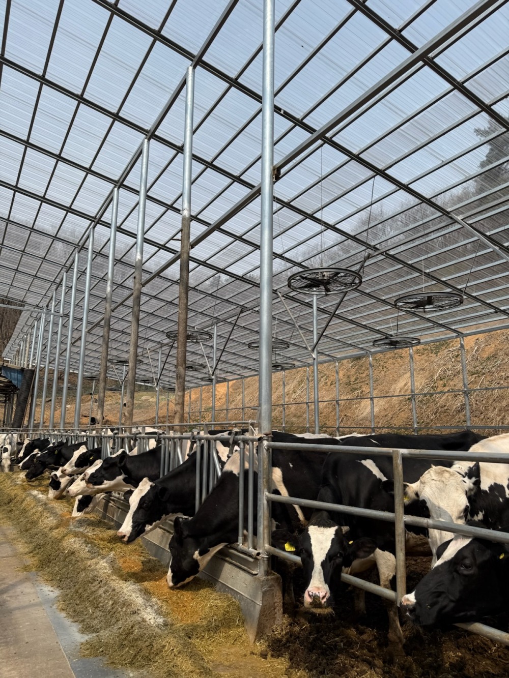 축산분야 생산지원사업