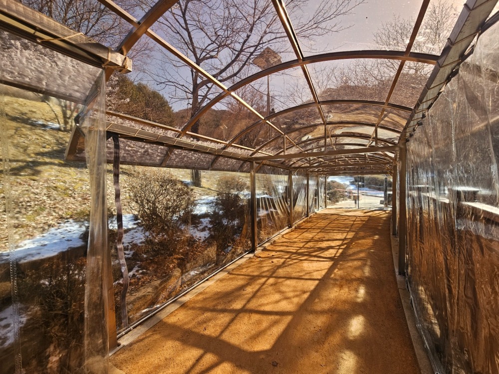 병목안시민공원 맨발산책길에 지붕 캐노피와 방한 비닐막