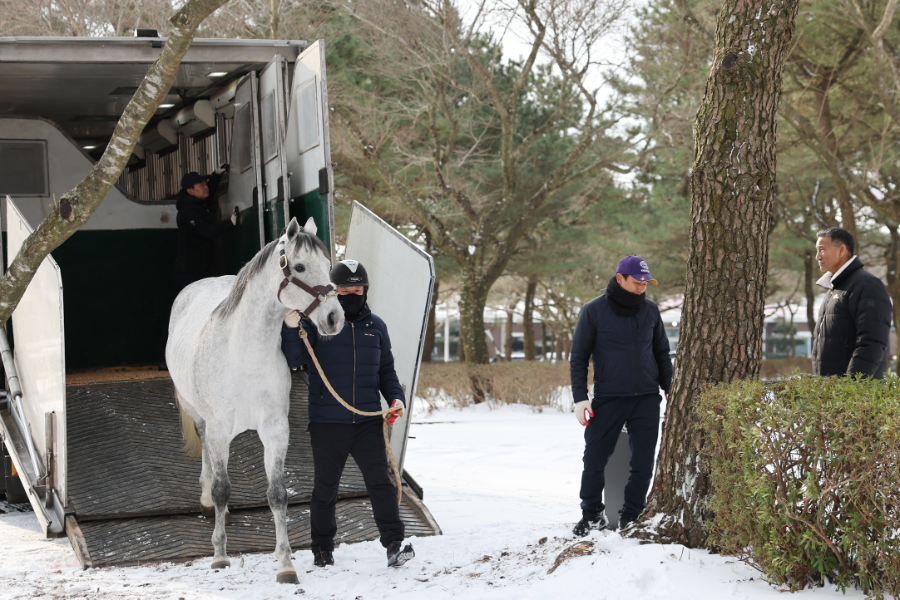 제주목장에 도착한 닉스고