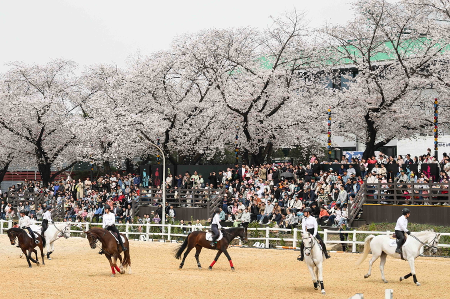 과천시민의 일상 속 열린 공원, 렛츠런파크 서울