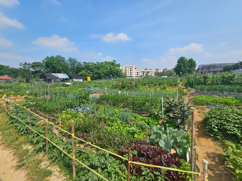 행복가꿈 주말농장_월암농장