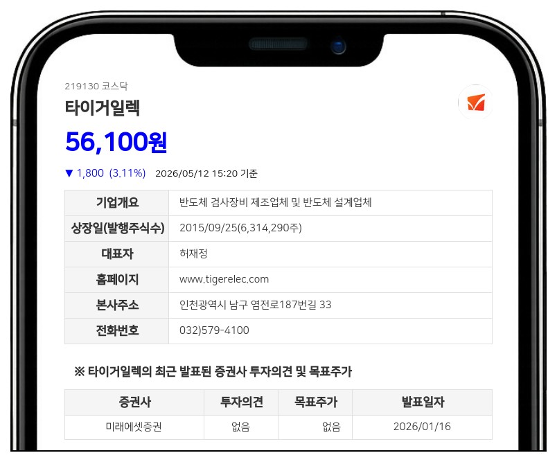 타이거일렉, '이자 0%'로 300억 수혈…반도체 설비 증설 및 해외투자 가속화