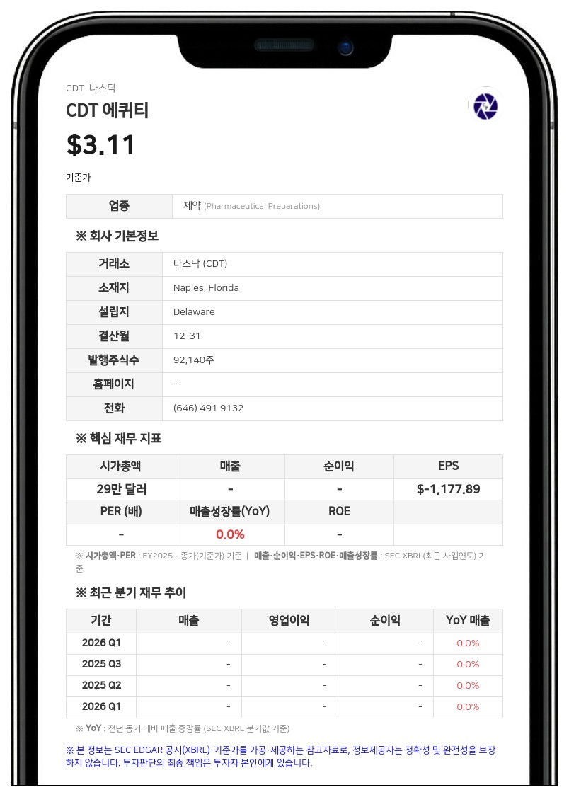 CDT 에퀴티, 사명 변경 후 첫 반기 실적 발표…'계속기업 의문' 제기