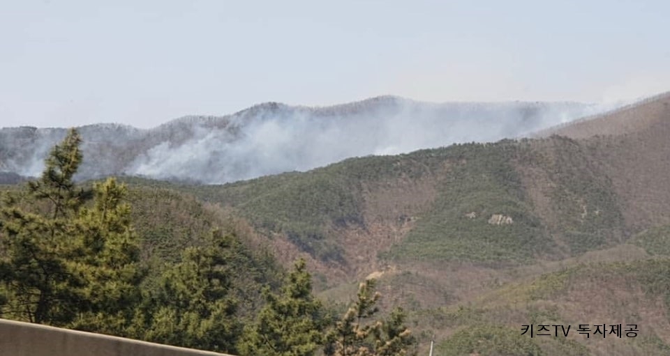 사진=독자 제공