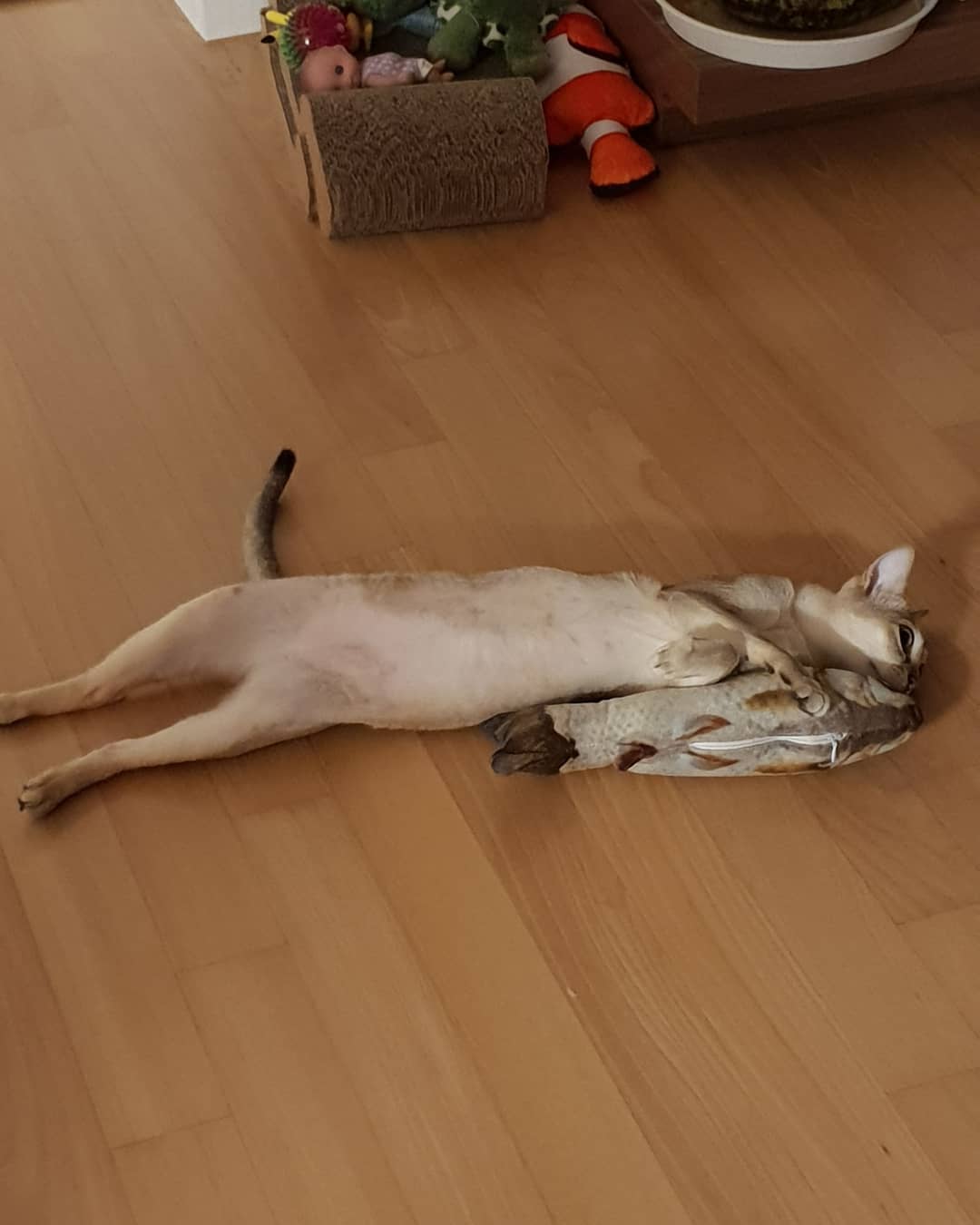 사진=임지연인스타그램캡처