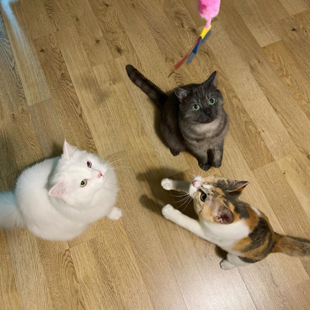 사진출처=손수현인스타그램