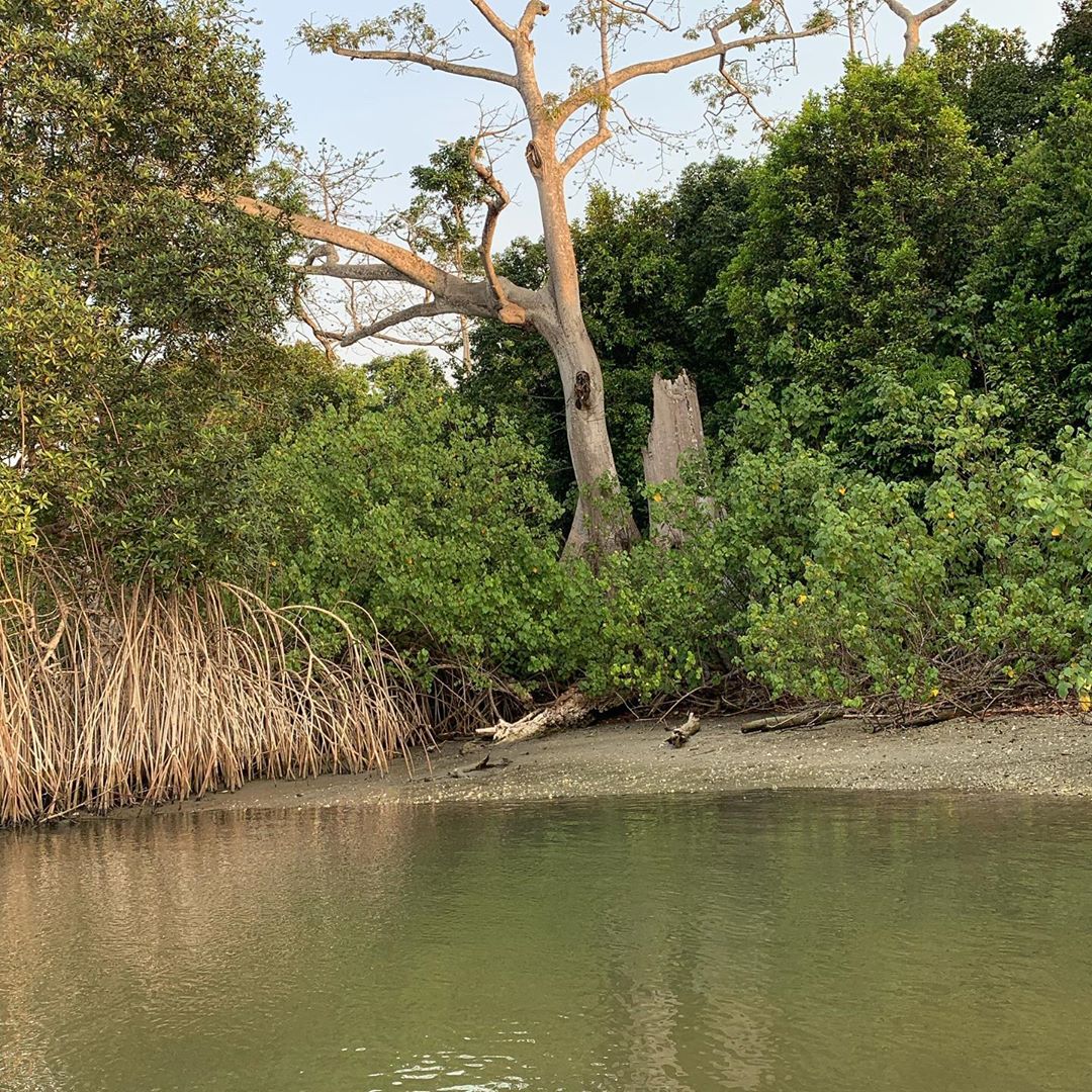 사진출처=사무엘잭슨SNS캡처