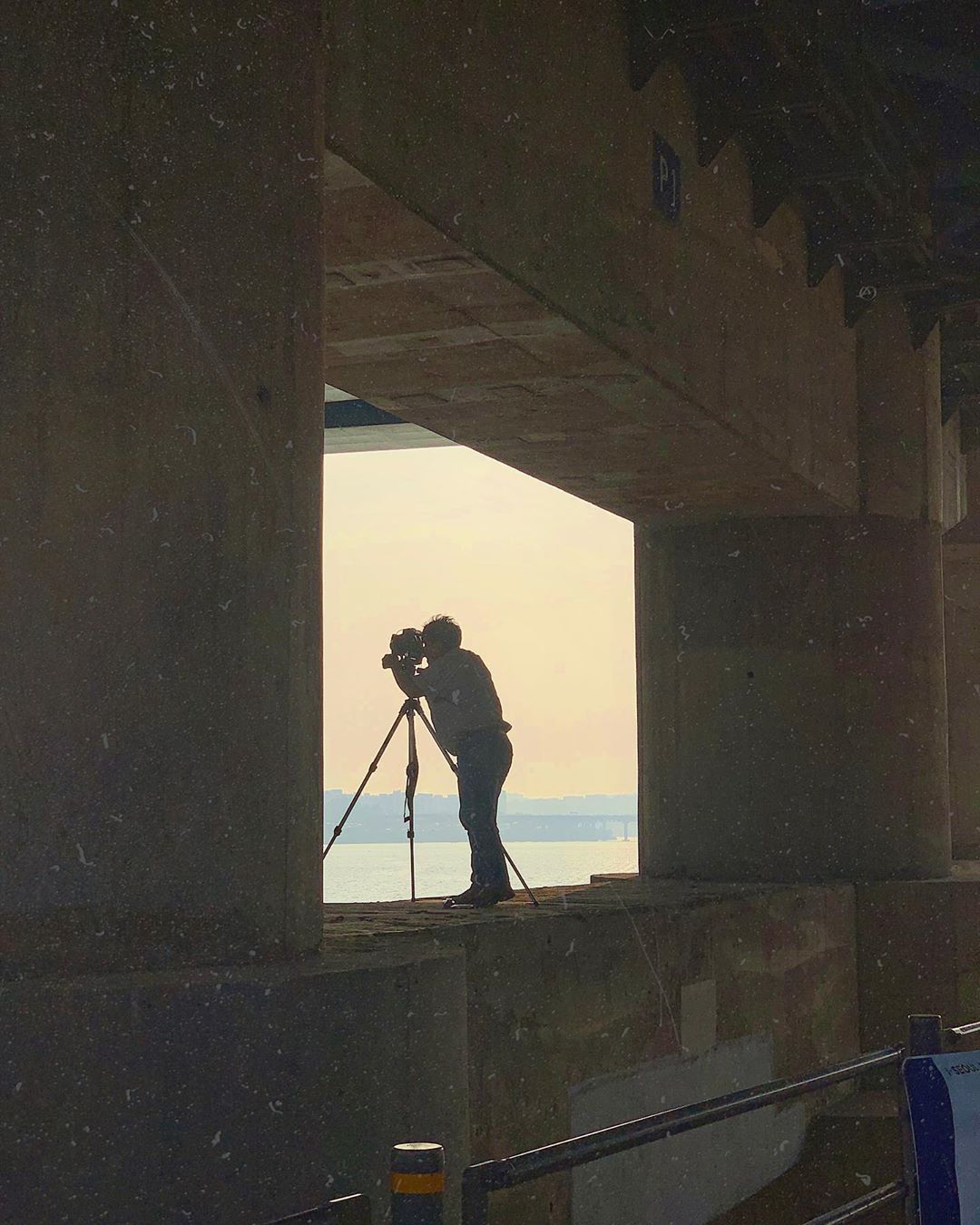 사진=안젤리나다닐로바SNS