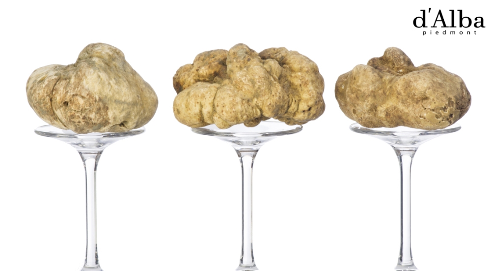 달바, 땅속 다이아몬드 이탈리아 ‘화이트 트러플’ 전 제품 사용