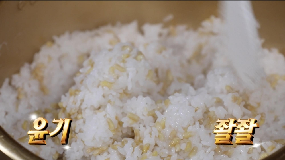 전지적참견시점, 카무트 밥 챙기며 잔내 케미 폭발