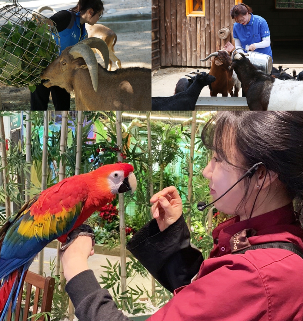 서울예술실용전문학교, 2022학년도 애완동물학과 반려동물 전공 신입생 모집