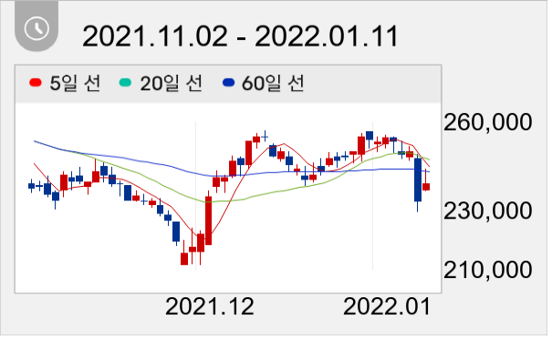 신세계 일봉 주가차트