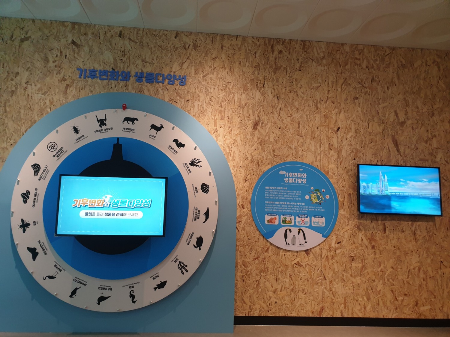 부산창의융합교육원, 탄소중립 실천 체험 힐링공간 '지구환경실' 재개관