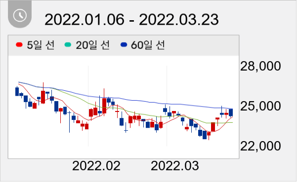웹케시 일봉 주가차트