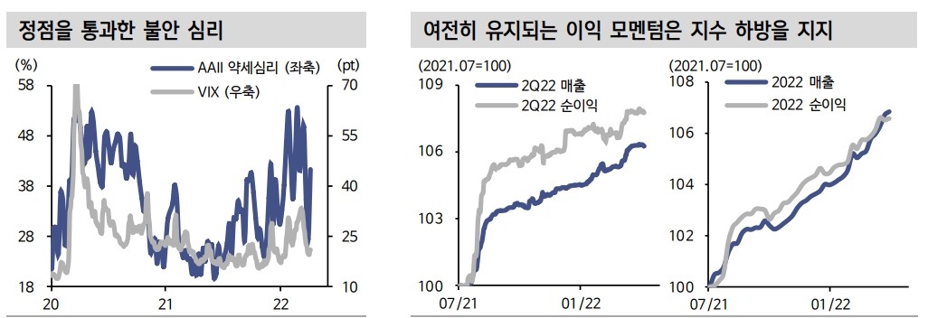 글로벌 주식시장, 빅스텝·QT도 반영된 위험...위험선호 점진적 개선 예상 - 신금투