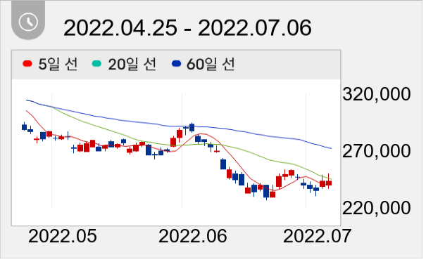 NAVER 일봉 주가차트