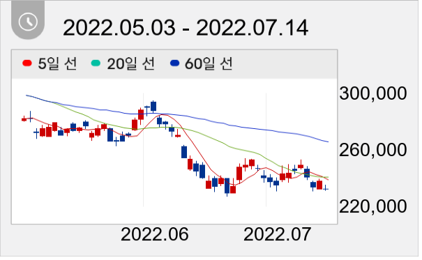 NAVER 일봉 주가차트