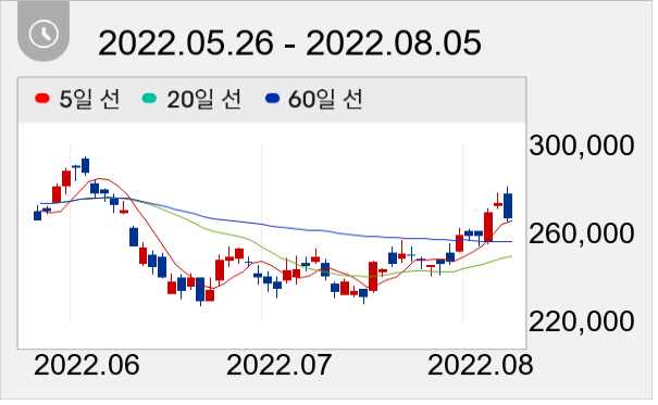 NAVER 일봉 주가차트
