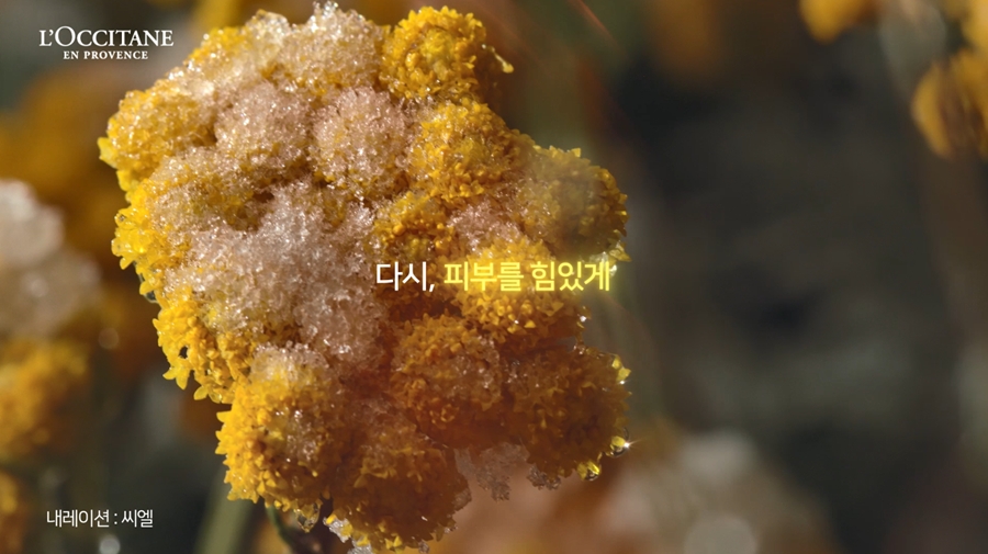 록시땅, ‘이모르뗄 리셋 세럼’ 캠페인 내레이션 모델로 가수 씨엘 발탁