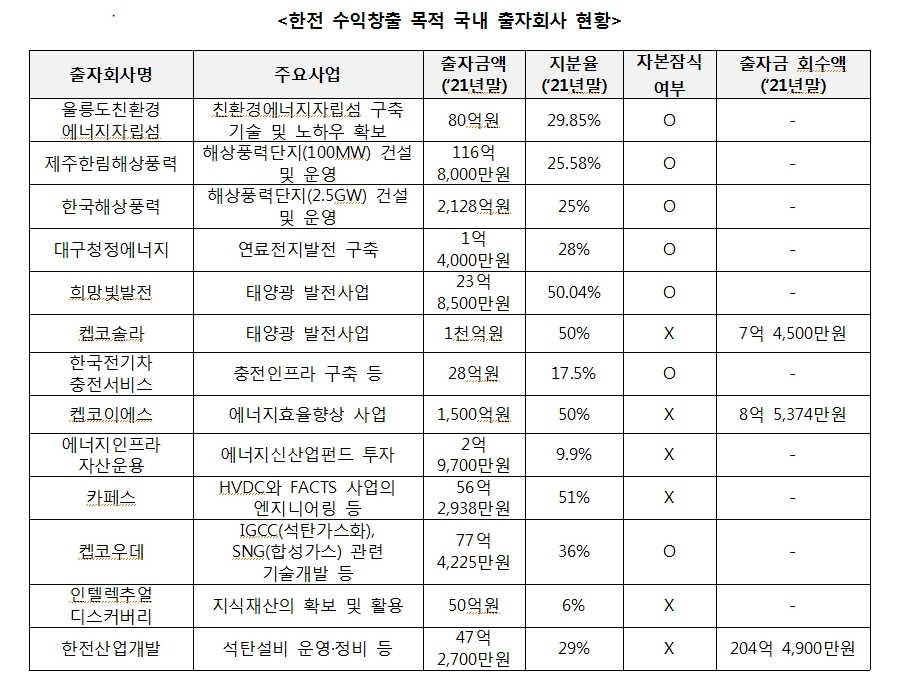 국힘 박수영 "한전 출자회사 13개 중 7개가 자본잠식...태양광·해상풍력 등 재생에너지 하는 곳"