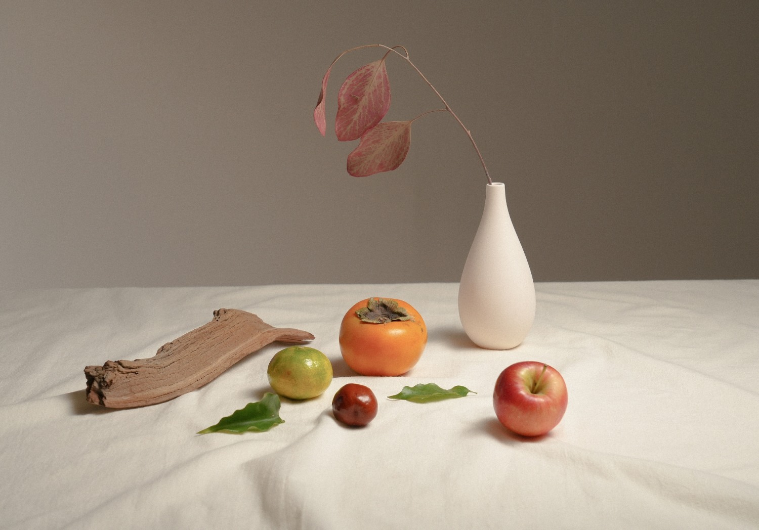 못난이 농산물 업사이클링 블렌디드 TEA 브랜드 ‘퍼스티아’,’ 2022 서울 카페쇼’ ‘체리스초이스’ 선정