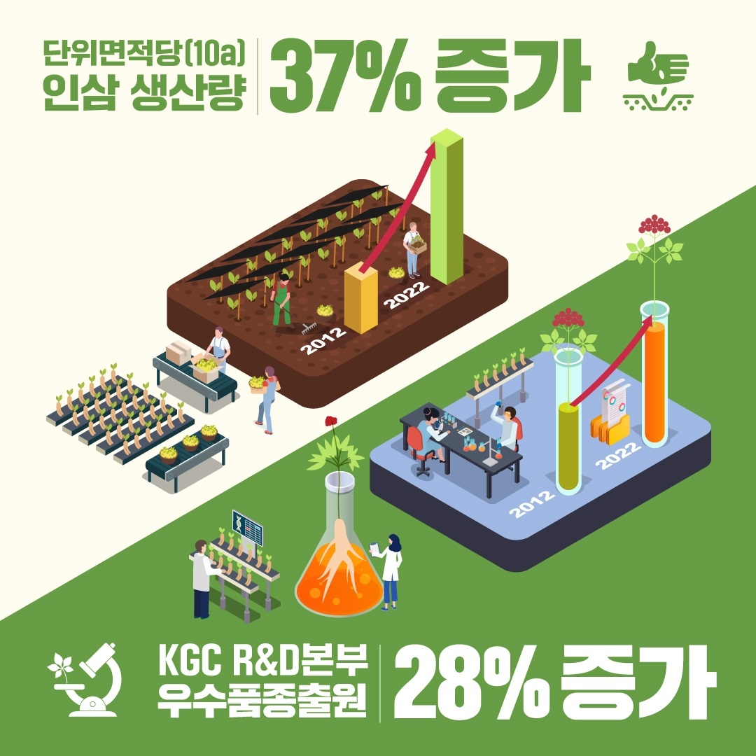 KGC인삼공사, 인삼 생산량 역대 최대...정관장·동인비 고품질 홍삼 원료 사용