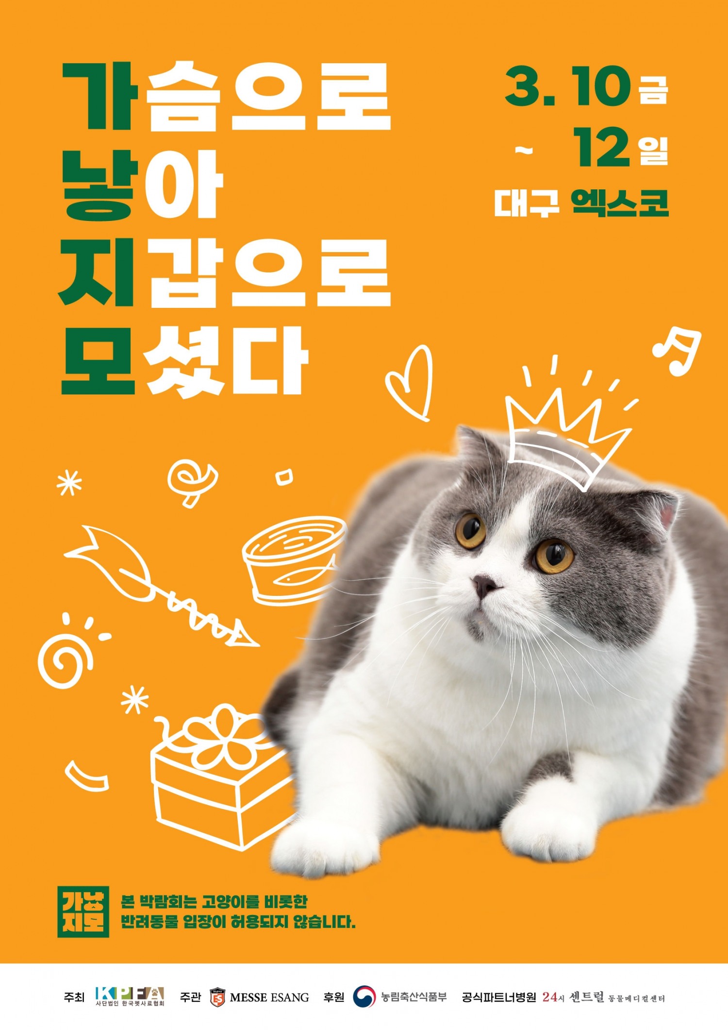 대구 첫 고양이 전문 박람회 ‘가낳지모 캣페어’ 3월 개최