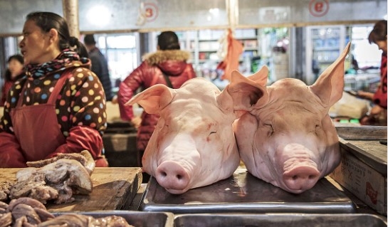 (상보) 중국 8월 CPI 전년비 0.1% 올라..예상(+0.2%) 하회