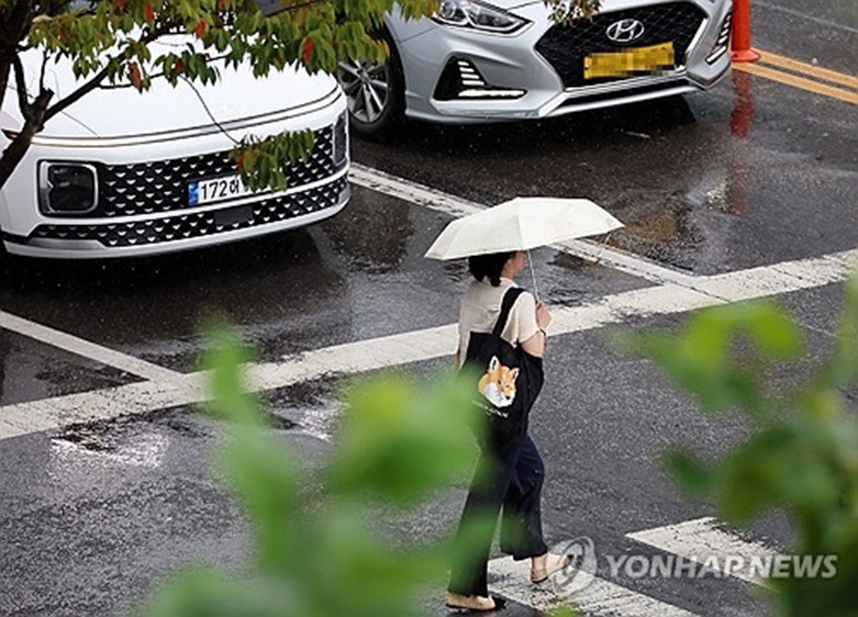 거리를 적시는 가을비(연합=사진제공)