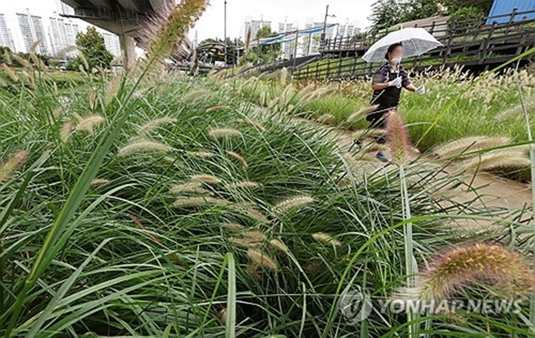 촉촉한 가을비(사진=연합)