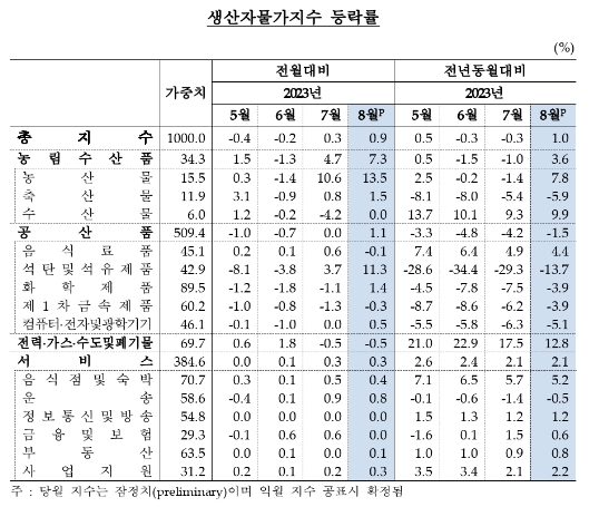 (종합)8월 생산자물가 전월비 0.9% 상승...두 달 연속 오르고 폭도 확대 - 한은