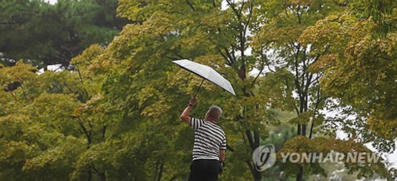 시나브로 가을빛(사진=연합)
